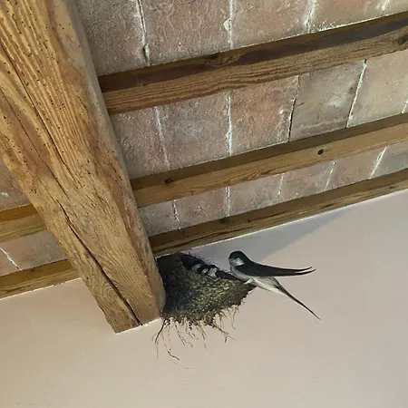 La Casa Di Biba 3* Massa Lombarda