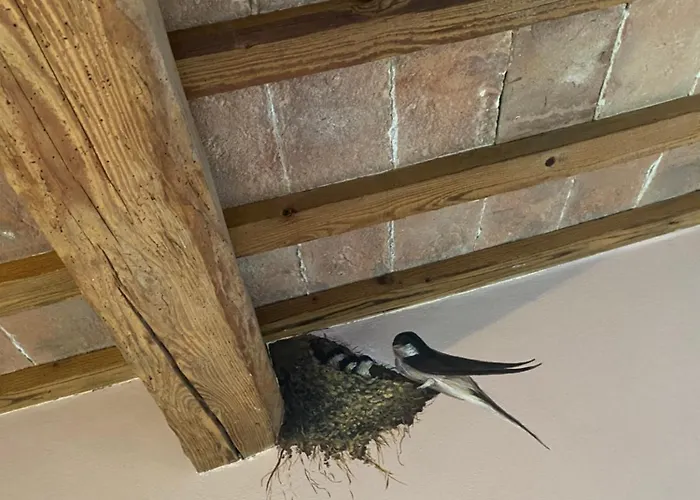 La Casa Di Biba 3* Massa Lombarda