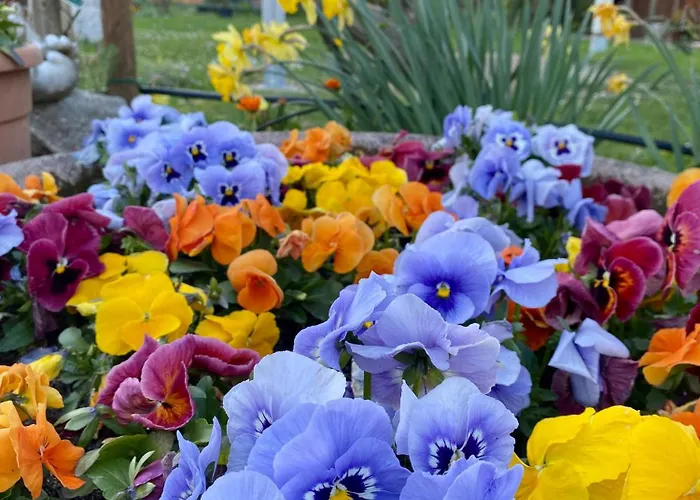 Oda ve Kahvaltı La Casa Di Biba